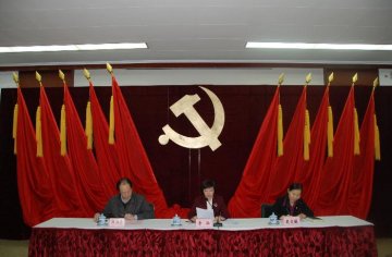 卫生发展研究中心召开党总支成立大会暨第一次党员大会
