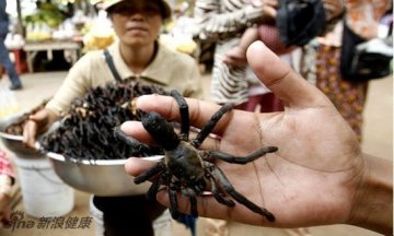 防癌神仙汤引争议 稀奇古怪食物盘点—油炸蜘蛛