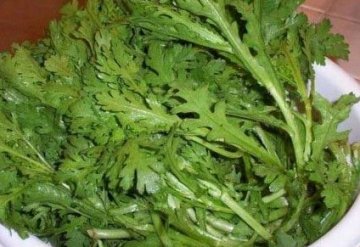 夏季养生：19种排毒功效最强的家常菜