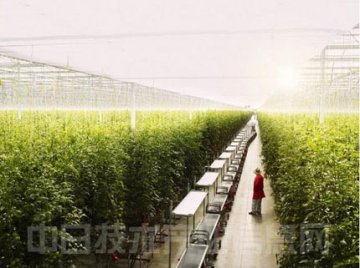 二氧化碳也可变身高效农业资源和可再生能源！？