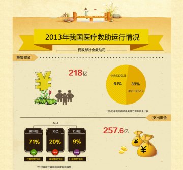 2013年医疗救助基本情况