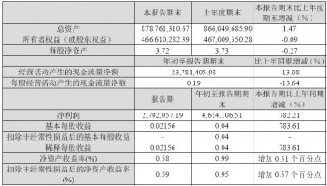 浙江震元2007年第三季度报告（节录）