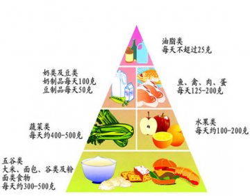 膳食平衡金字塔