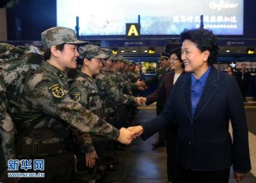 刘延东为中国援非抗疫队伍送行