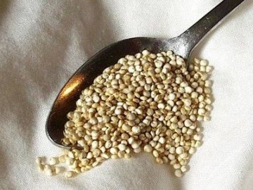 20种超级减肥超级食物