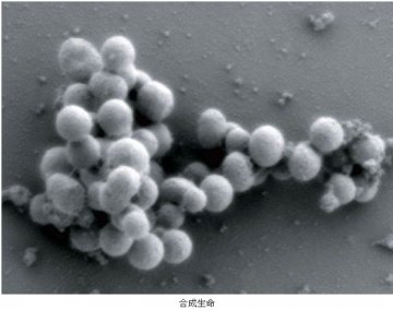 2012年最具影响性六大科学探索：合成生命等