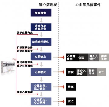 从麝香保心丸看冠心病的中药防治
