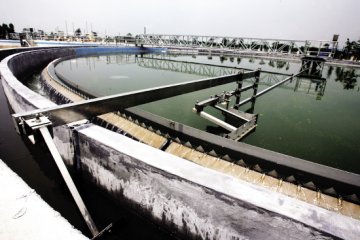 治水去黑臭 鱼戏天马河