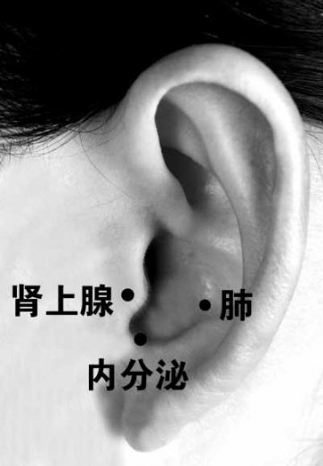 养颜抗衰好方法 按耳穴能祛斑、抗皱