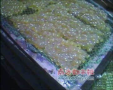 制作好的“垃圾明胶”看上去干净透亮