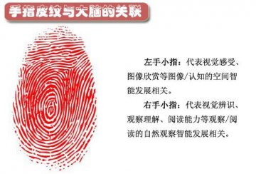 图说：从指纹看你的身体健康和性格