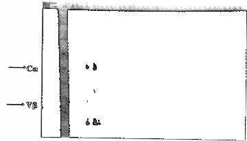 磷脂抗体阳性红斑狼疮患者周围血T细胞受体基因表达初探①
