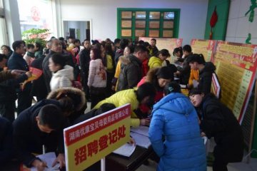 怀仁集团2015新春招聘会场面火爆竞争激烈
