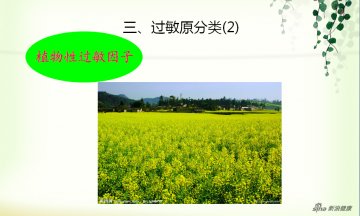 皮肤过敏