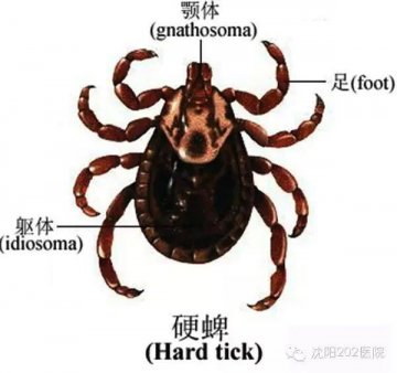 春天踏青 离它远点！