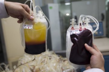 揭秘：走进人类血液仓库