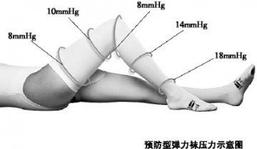 预防型弹力袜压力示意图
