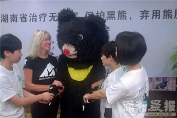 湖南1500家药店承诺保护黑熊不再销售熊胆药品