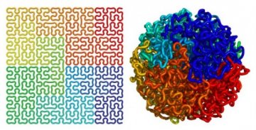 科学家绘制出最清晰立体人类基因组结构图