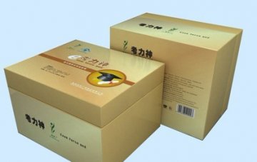 高考成绩好 提高记忆力选择普瑞丁考力神