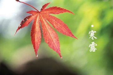 寒露时节谨防八种疾病 四种蔬果保平安
