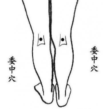 中医专家推荐十大养生要穴 可强身健体