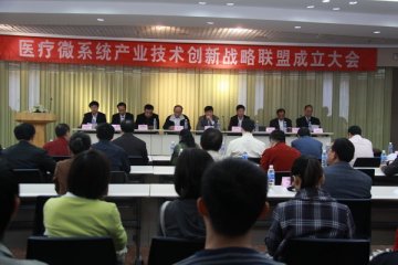 医疗微系统产业技术创新战略联盟在我市成立