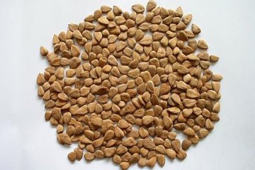 盘点8种抗衰老食物 蜂蜜可净化血液