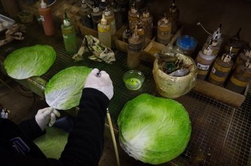 探访日本的食物模型工厂 仿真度极高