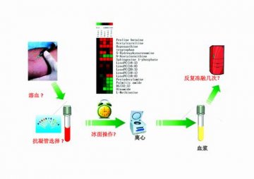 中外学者合作提出代谢组学血样采集规程