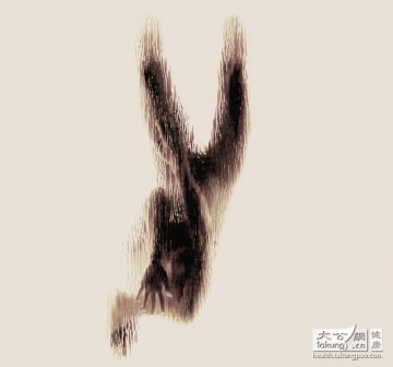 人体探秘：女性裸体与解剖学之美