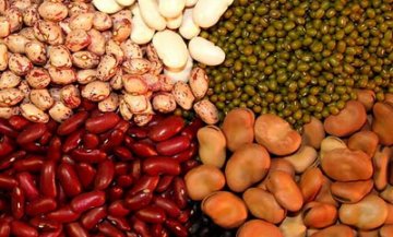 14种食物能帮助糖友稳定血糖