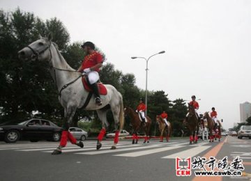 汗血宝马在长春街头巡游引发关注
