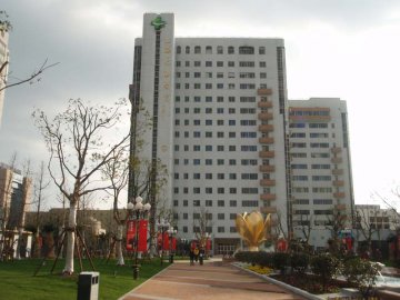 国内权威的10大男科医院
