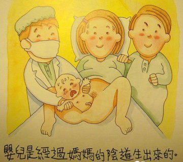 香港最受欢迎的儿童性教育图片