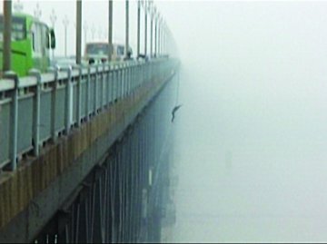 小伙从长江大桥跳下后呼救 因内脏受损不治身亡