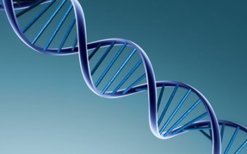 影响婴儿智力发育的7个因素