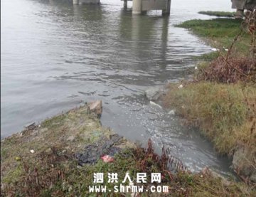 泗洪双沟酒厂废水污染濉河被称创模虚有其表