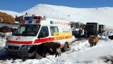 西藏军区总医院为山南雪灾群众送医送药