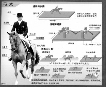 人与动物的和谐舞步——马术