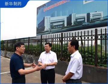 周连华市长视察新华制药项目建设