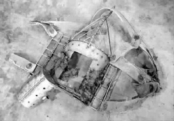 记者调查：绝大多数被抽取胆汁黑熊最终死于肝癌