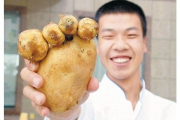 27个外貌惊人的蔬果