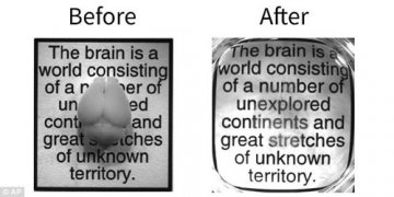 科学家制造出令人难以置信的透明老鼠大脑