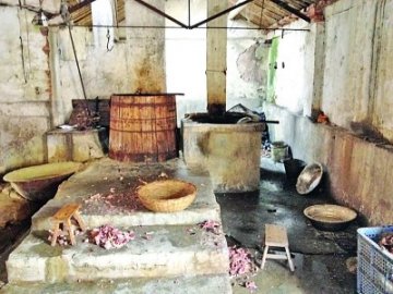南京待宰公牛逃命被击毙 牵出一家“黑屠宰场”