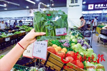 佛山土壤重金属超标超过50% 市场上外地菜走俏