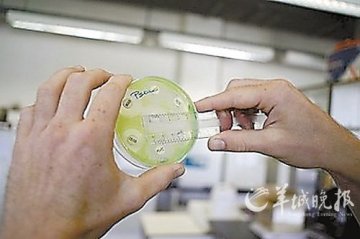 美三州现“超级病菌”变种 几乎对所有抗生素刀枪不入