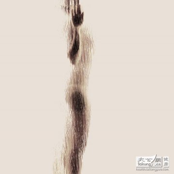 人体探秘：女性裸体与解剖学之美