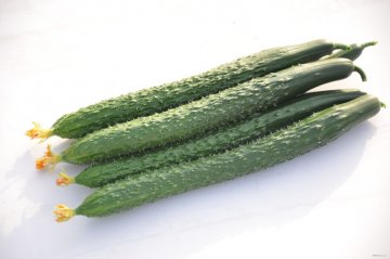超刮油的15种神奇食物