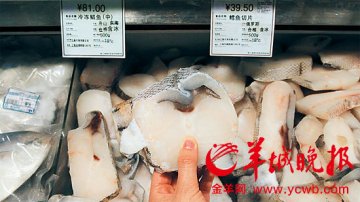广州多家超市售低价鳕鱼 是否油鱼？